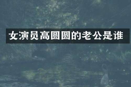 女演员高圆圆的老公是谁