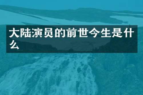 大陆演员的前世今生是什么