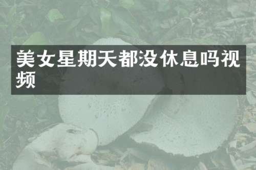 星期天都没休息吗视频