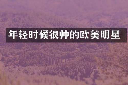年轻时候很帅的欧美明星