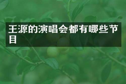 王源的演唱会都有哪些节目