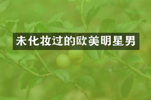 未化妆过的欧美明星男