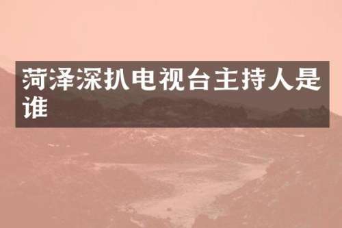 菏泽深扒电视台主持人是谁