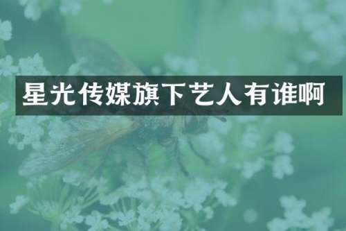 星光传媒旗下艺人有谁啊