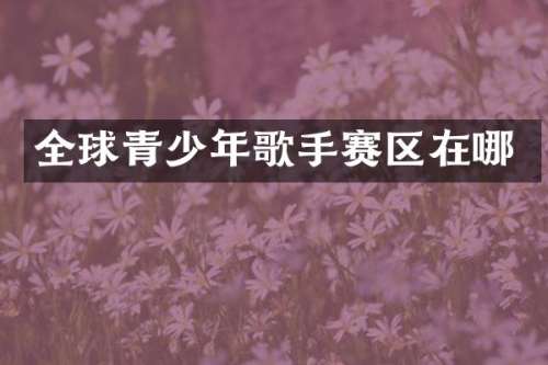 全球青少年歌手赛区在哪