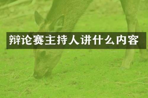 辩论赛主持人讲什么内容
