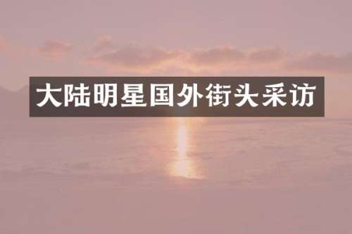 大陆明星国外街头采访