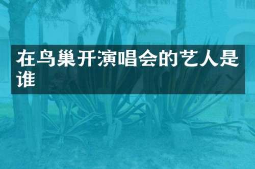 在鸟巢开演唱会的艺人是谁