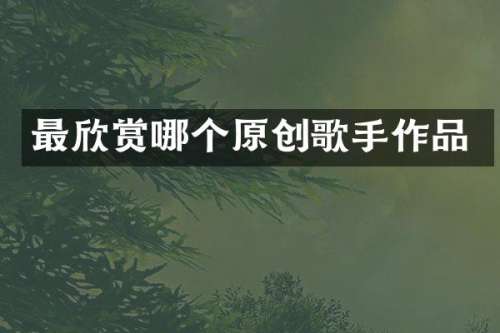 最欣赏哪个原创歌手作品
