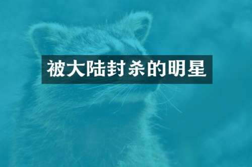 被大陆封杀的明星