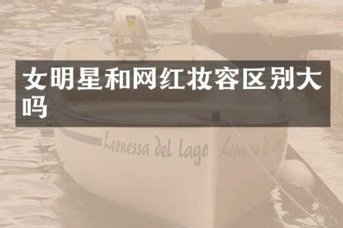 女明星和网红妆容区别大吗