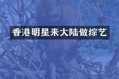 香港明星来大陆做综艺