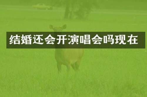 结婚还会开演唱会吗现在