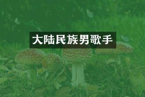 大陆男歌手