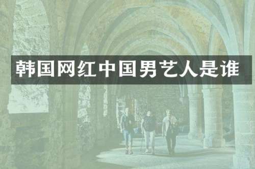 韩国网红中国男艺人是谁