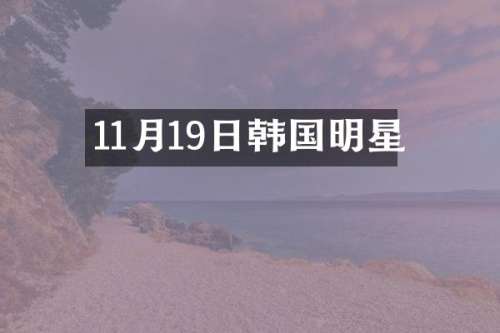 11月19日韩国明星