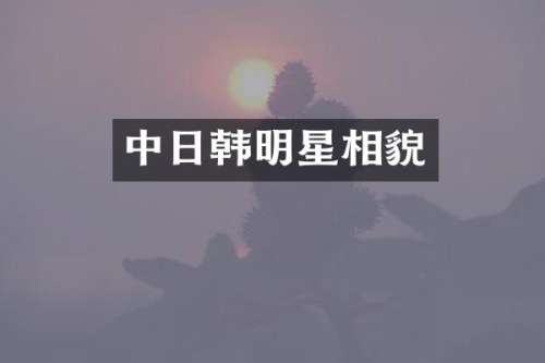 中日韩明星相貌