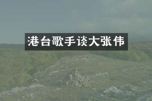 港台歌手谈大张伟