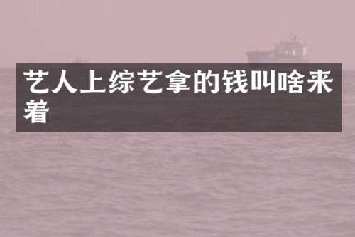 艺人上综艺拿的钱叫啥来着