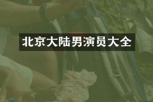 北京大陆男演员大全