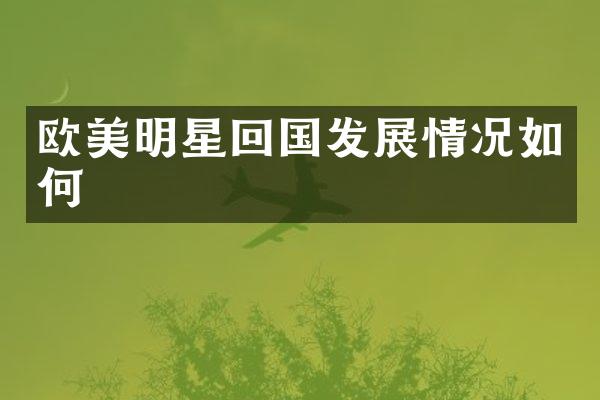 欧美明星回国发展情况如何
