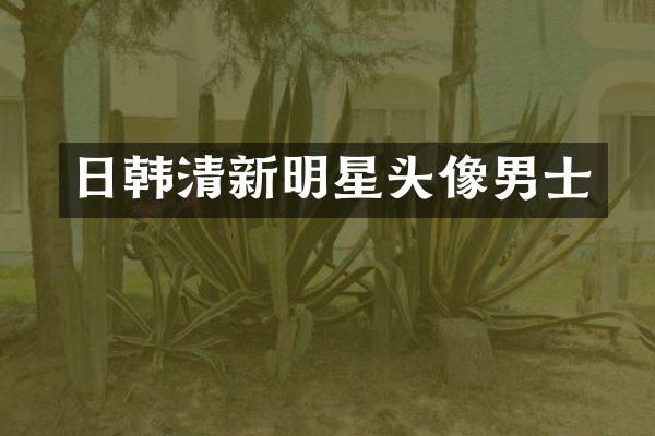 日韩清新明星头像男士