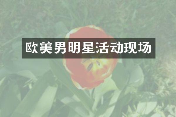 欧美男明星活动现场