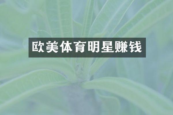 欧美体育明星赚钱