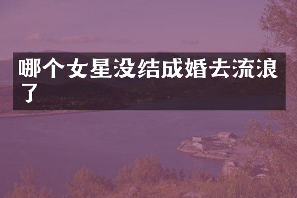 哪个女星没结成婚去流浪了