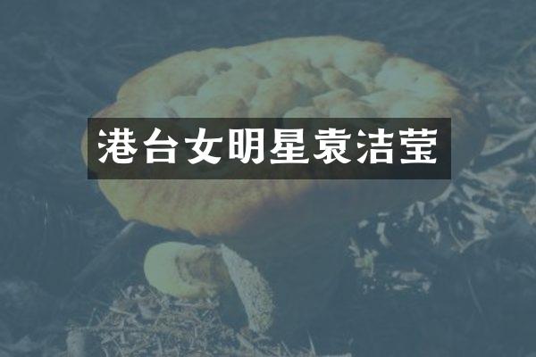 港台女明星袁洁莹