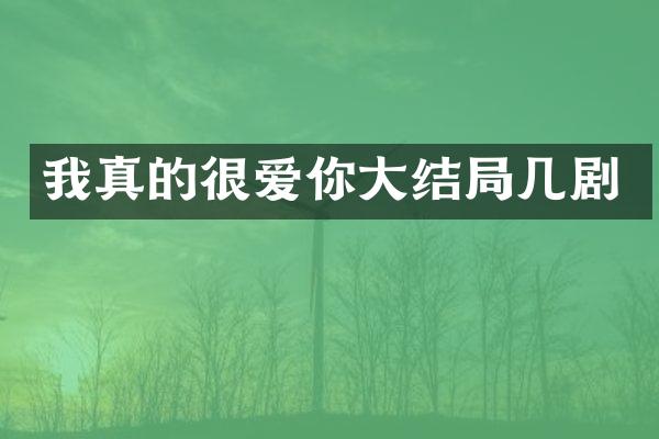 我真的很爱你大结局几剧