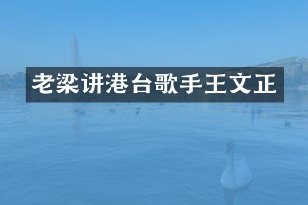 老梁讲港台歌手王文正