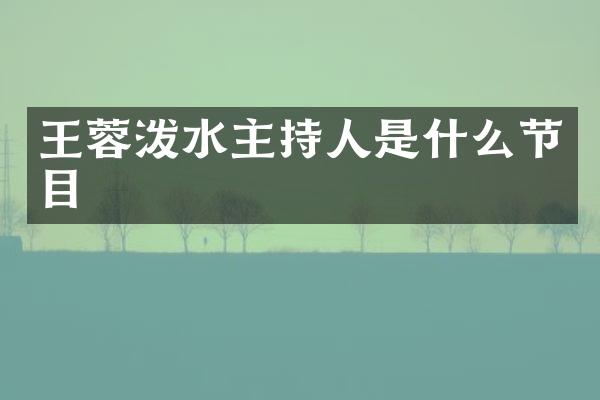 王蓉泼水主持人是什么节目