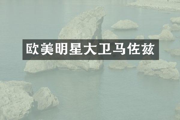 欧美明星大卫马佐兹