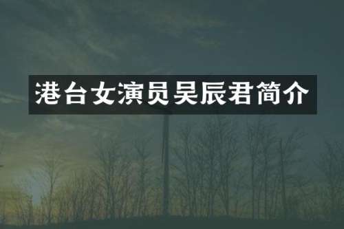 港台女演员吴辰君简介