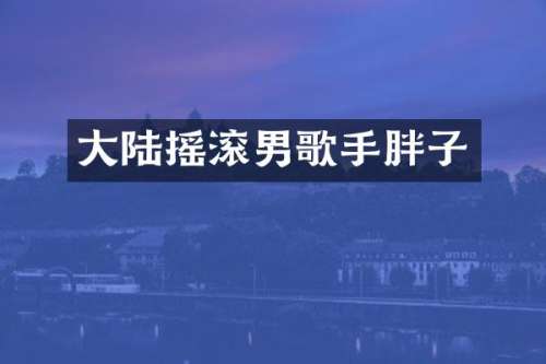 大陆摇滚男歌手胖子