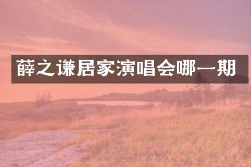 薛之谦居家演唱会哪一期