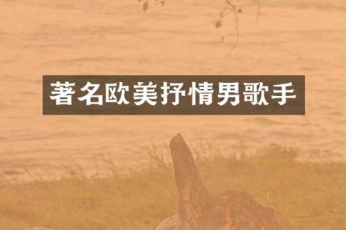 著名欧美抒情男歌手