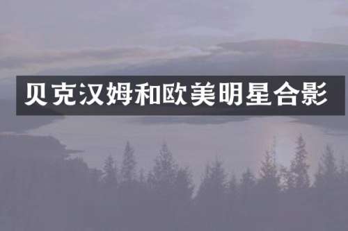 贝克汉姆和欧美明星合影