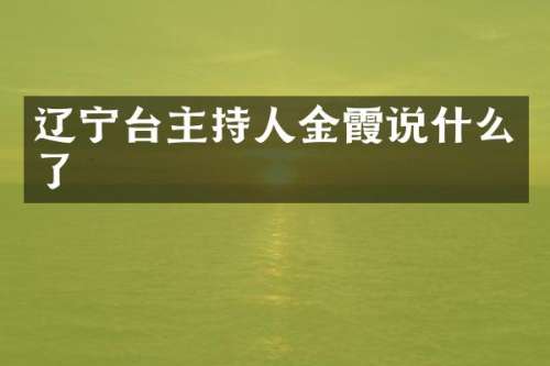 辽宁台主持人金霞说什么了
