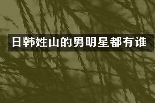 日韩姓山的男明星都有谁