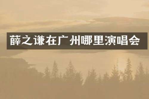 薛之谦在广州哪里演唱会