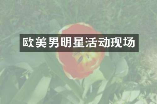 欧美男明星活动现场