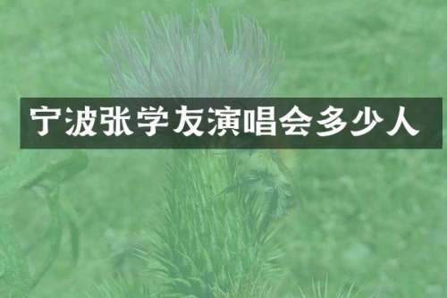 宁波张学友演唱会多少人