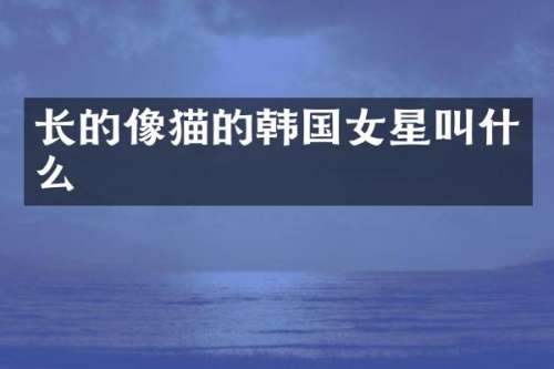 长的像猫的韩国女星叫什么