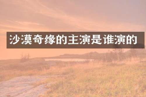 沙漠奇缘的主演是谁演的