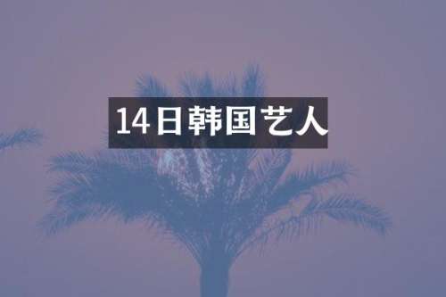 14日韩国艺人