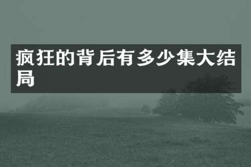 疯狂的背后有多少集大结局