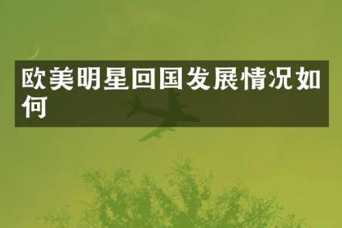 欧美明星回国发展情况如何