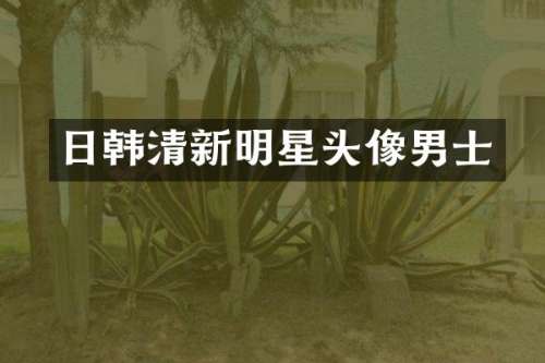 日韩清新明星头像男士